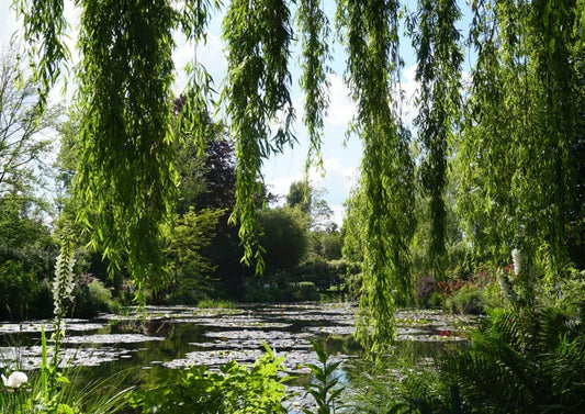 唯美的印象 遊莫內花園